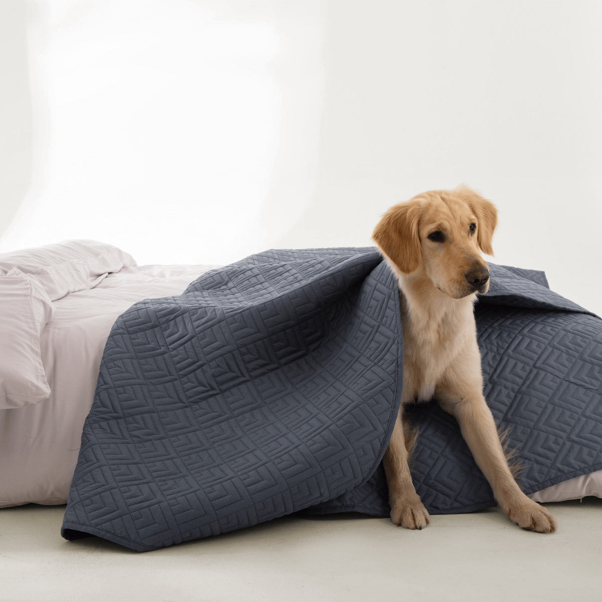 FURRFREE Quilt Set - Pet Hair Repellent for Dogs/Cats Family