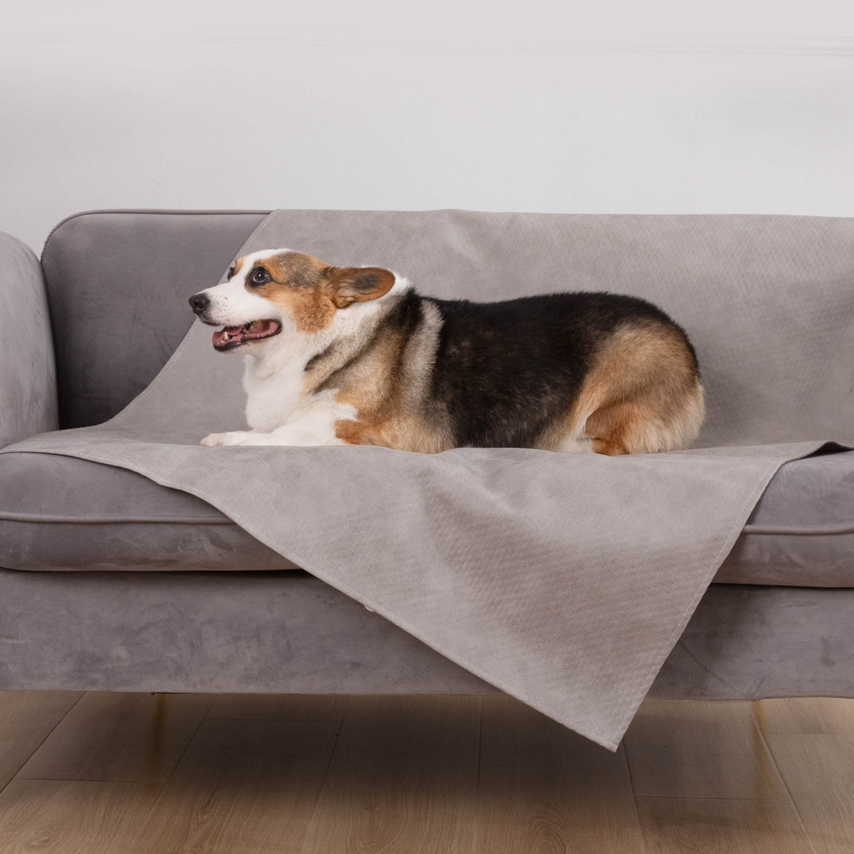 Spill-Resistant Sofa Cover for Dog & Cats