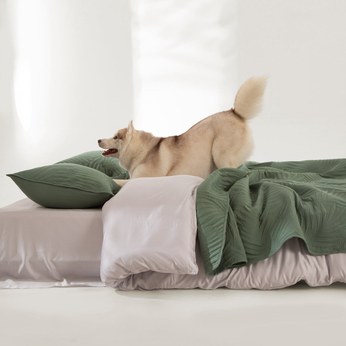FURRFREE Spring Leaves Pattern Quilt Set - Pet Hair Repellent for Dogs/Cats Family
