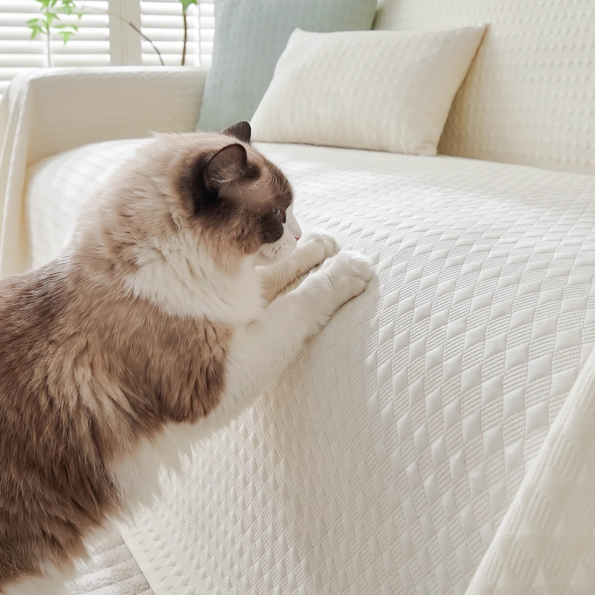 Cooling Modern Woven Textured Soft Pet-Friendly Durable Sofa Cover – Minimalist Hassle-Free Throw Couch Protector