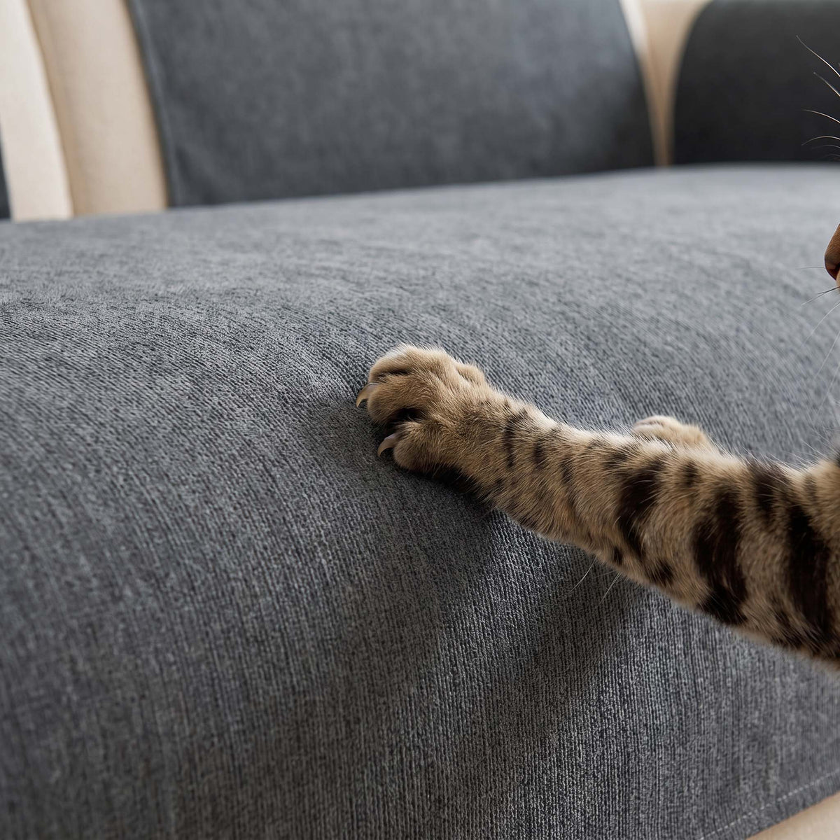 Spill-Resistant Chenille Pet-Friendly Non-slip Sofa Cover