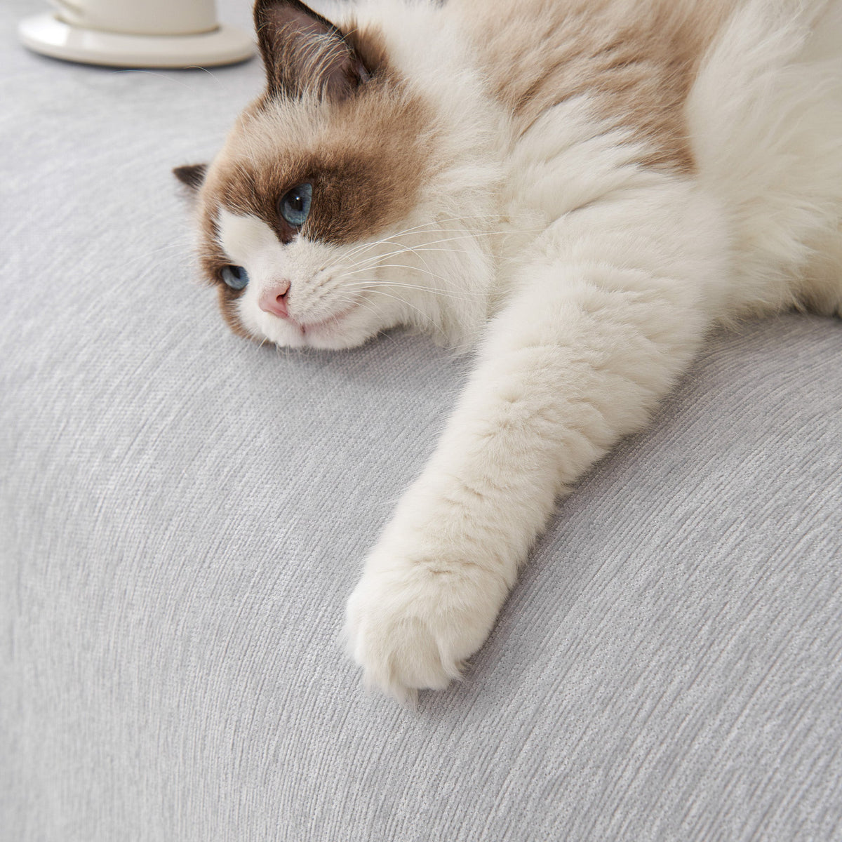 Pure Embrace Sofa/Couch Cover