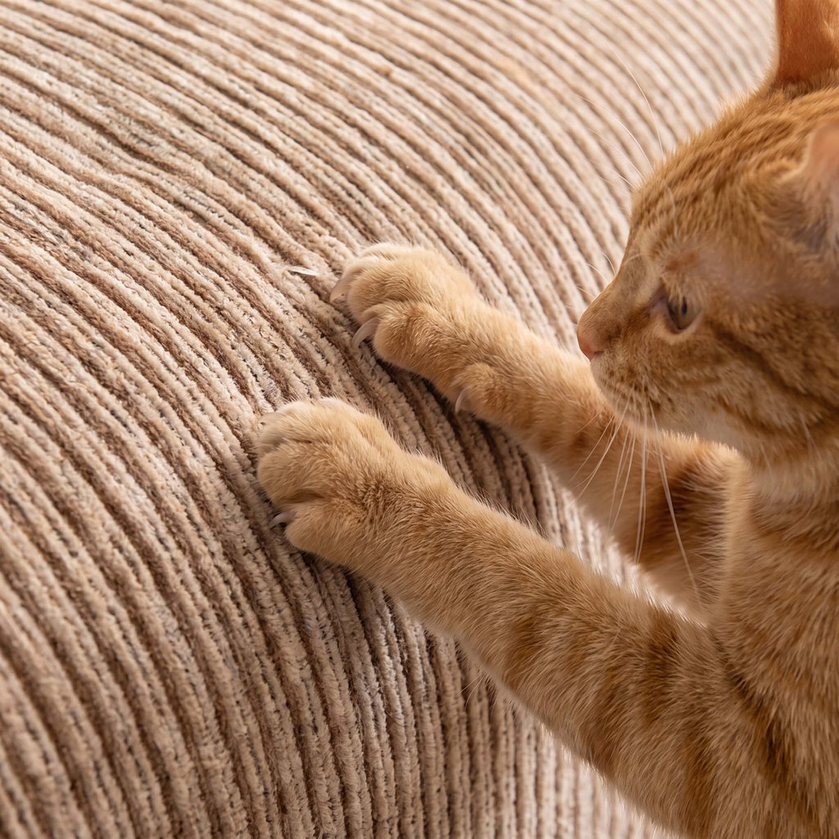 SoftWave Ribbed Chenille Nonslip Sofa Cover