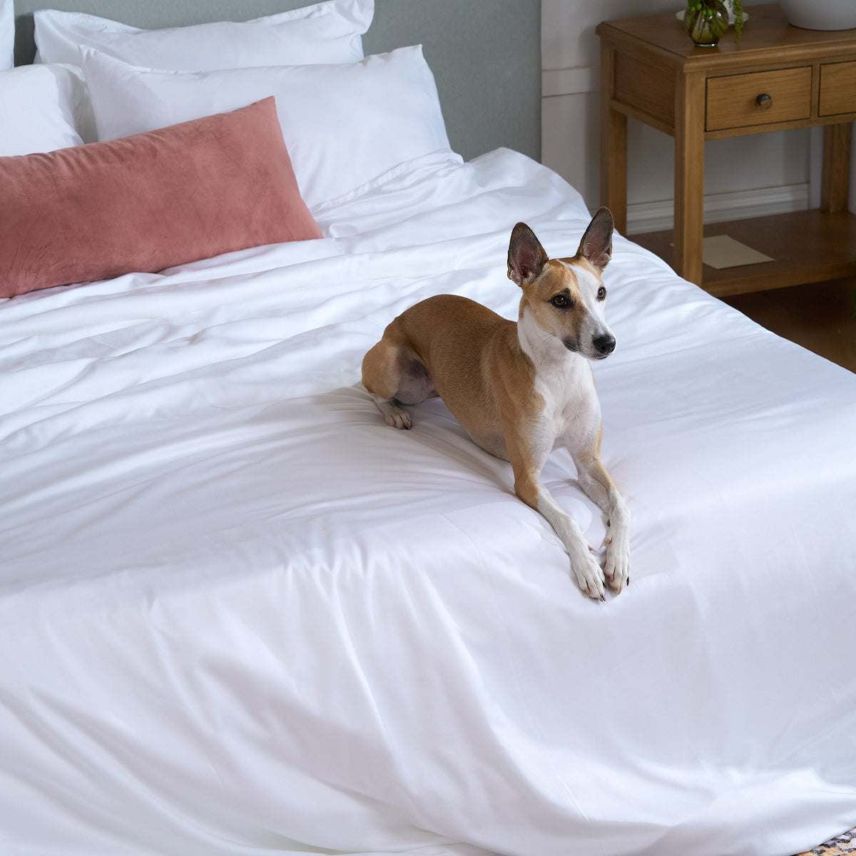 FURRFREE Bamboo Sheet Set & Duvet Cover - Pet Hair Repellent for Dogs/Cats Family