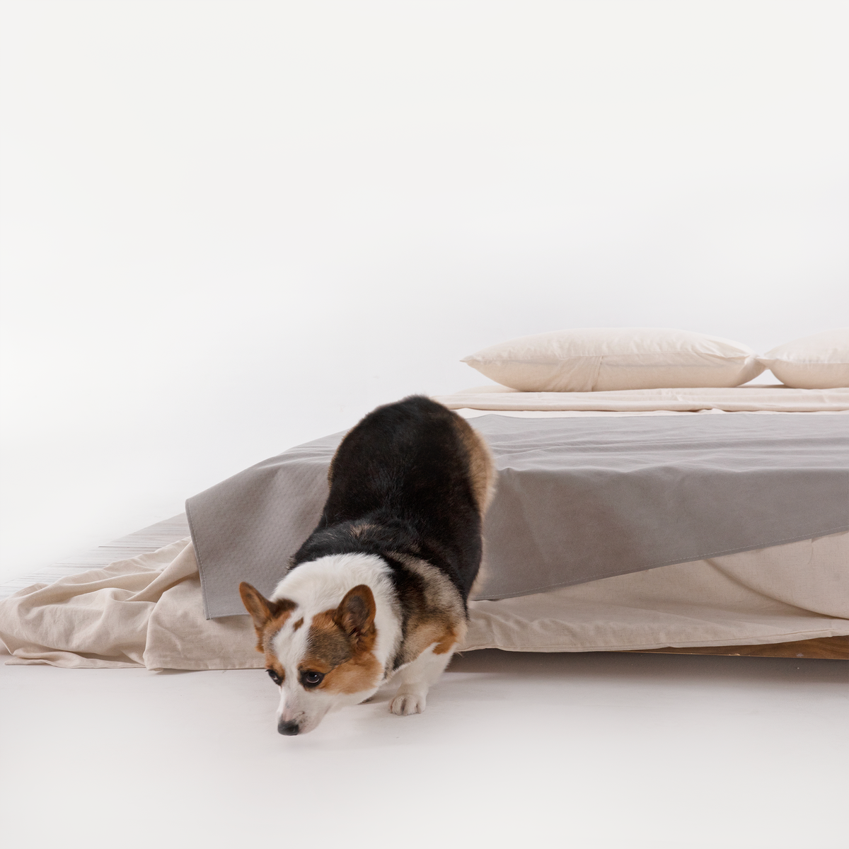 Spill-Resistant Coverlet - Scratch Resistant for Dogs/Cats Family