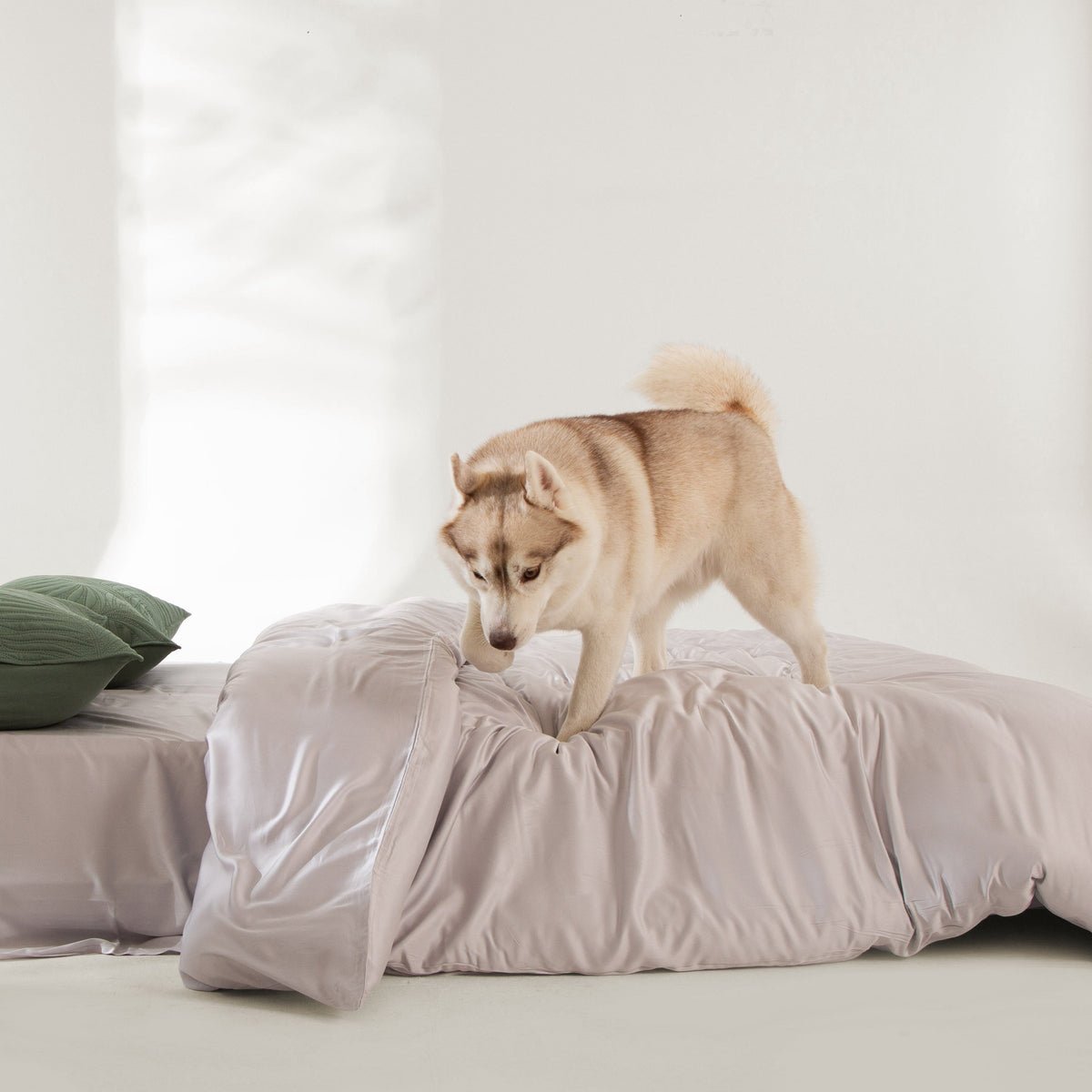 FURRFREE Spring Leaves Pattern Quilt Set - Pet Hair Repellent for Dogs/Cats Family