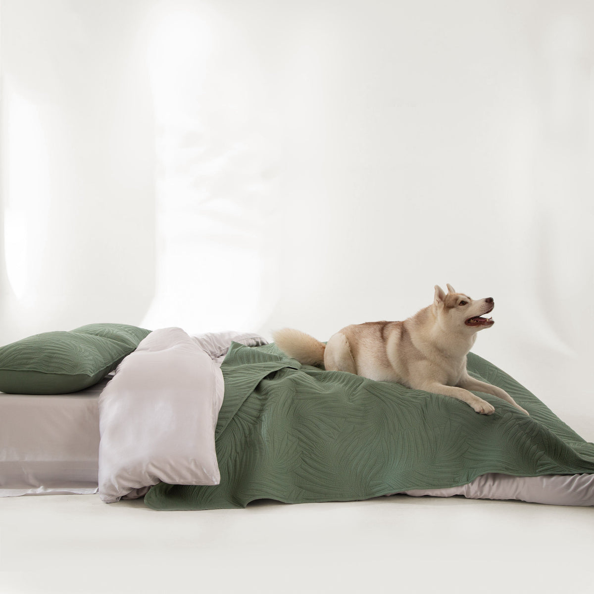 FURRFREE Spring Leaves Pattern Quilt Set - Pet Hair Repellent for Dogs/Cats Family