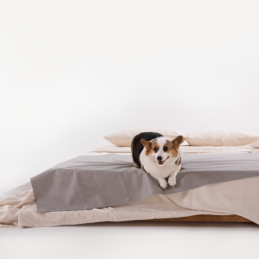 Spill-Resistant Coverlet - Scratch Resistant for Dogs/Cats Family