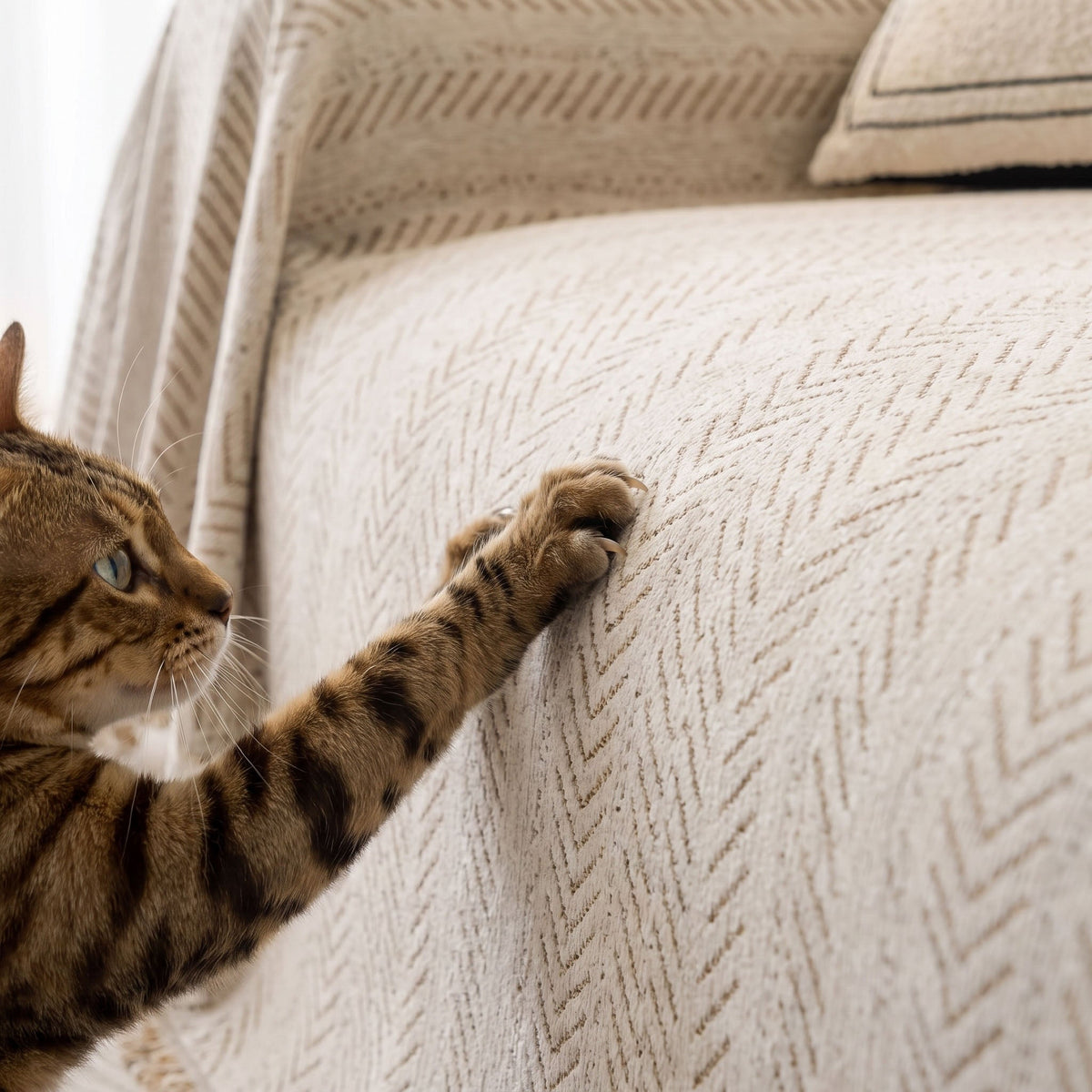 SnuggleTextile Anti-Scratch Washable Sofa Cover