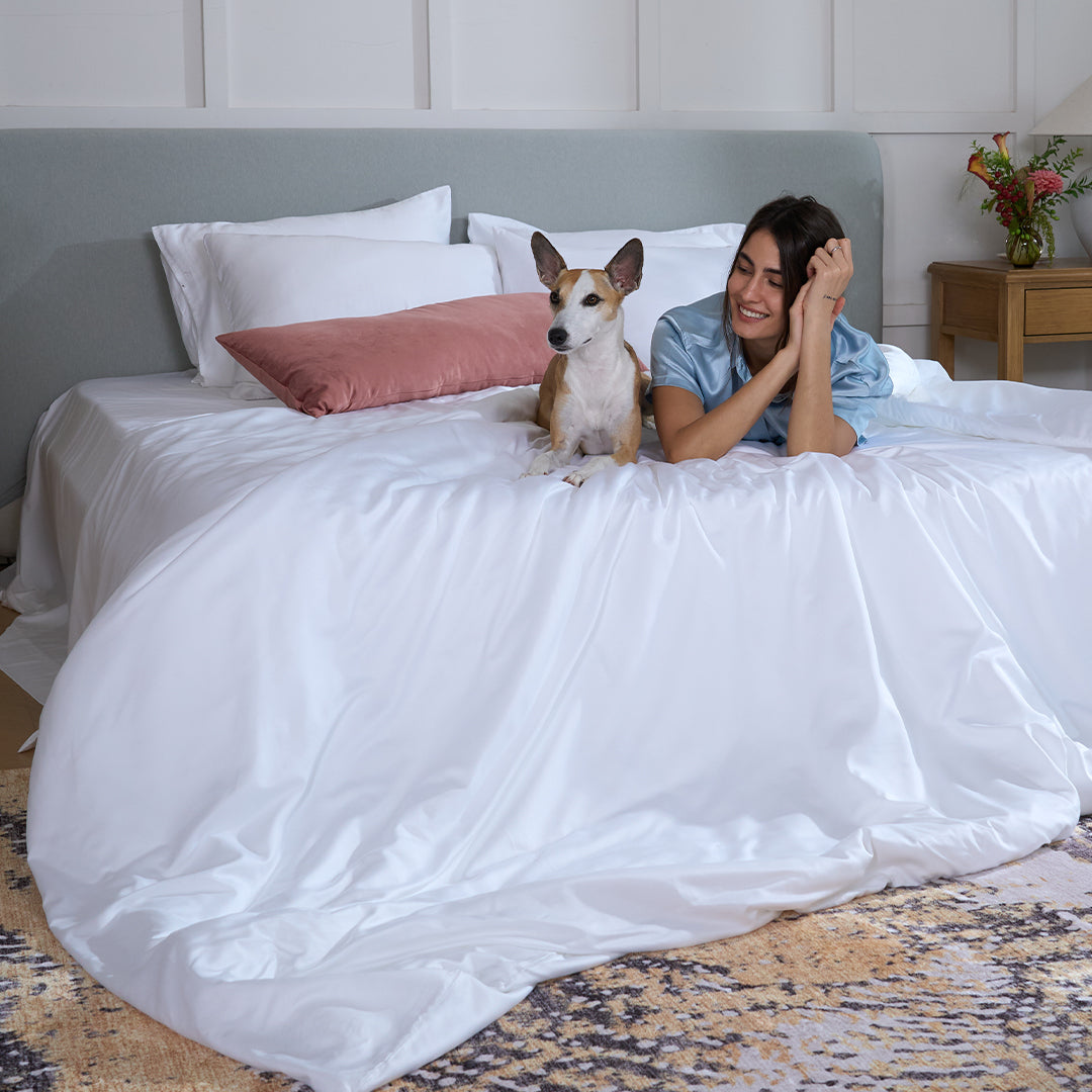 FURRFREE Bamboo Sheet Set & Duvet Cover - Pet Hair Repellent for Dogs/Cats Family