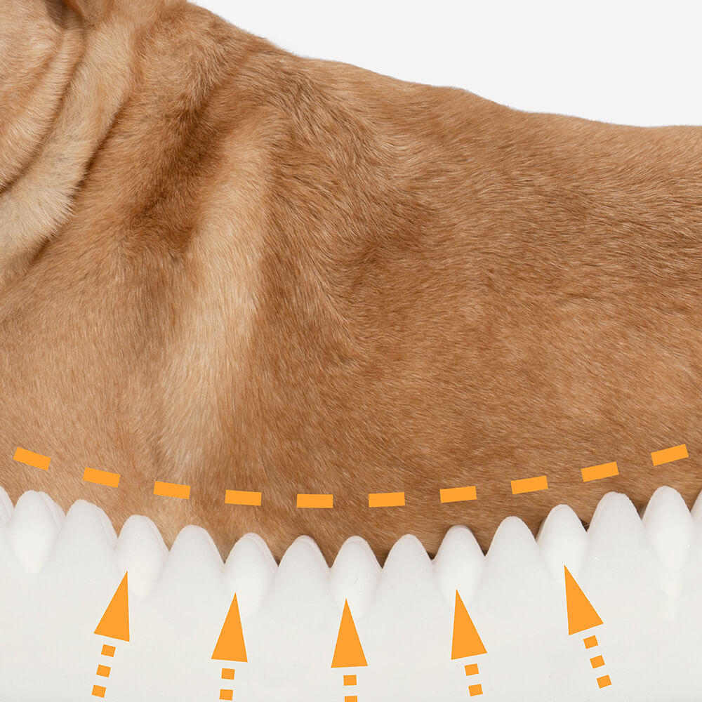 Donut Fluffy Orthopedic Dog Bed - FUNNYFUZZY