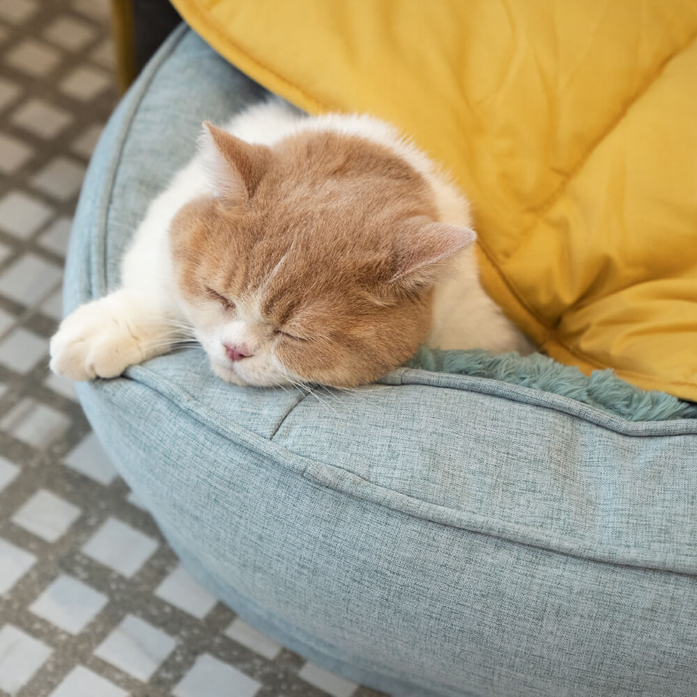 Donut Fluffy Orthopedic Dog Bed - FUNNYFUZZY