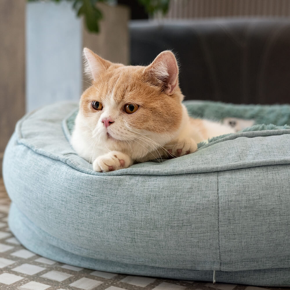Donut Fluffy Orthopedic Dog Bed - FUNNYFUZZY