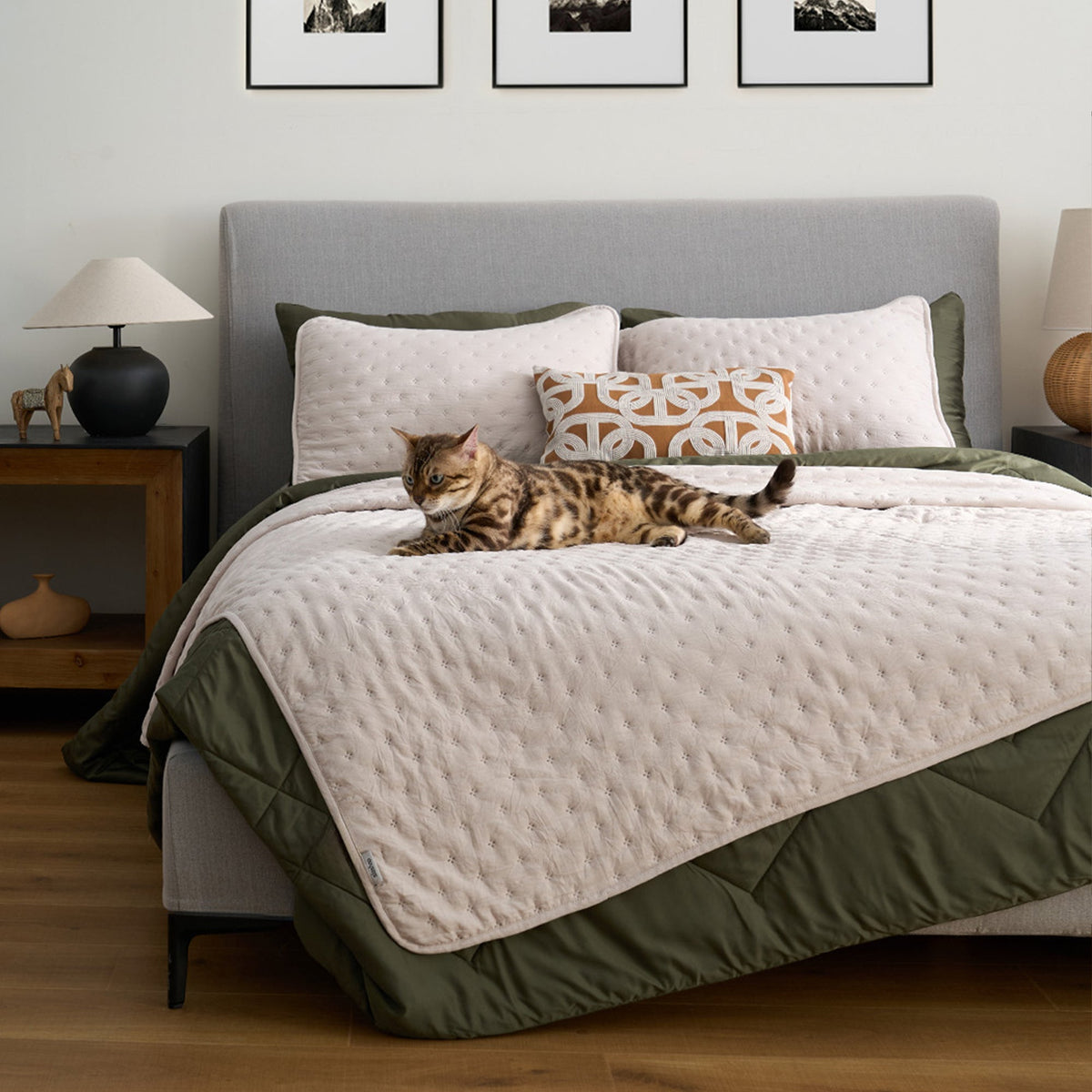 FURRFREE Quilt Set - Pet Hair Repellent for Dogs/Cats Family